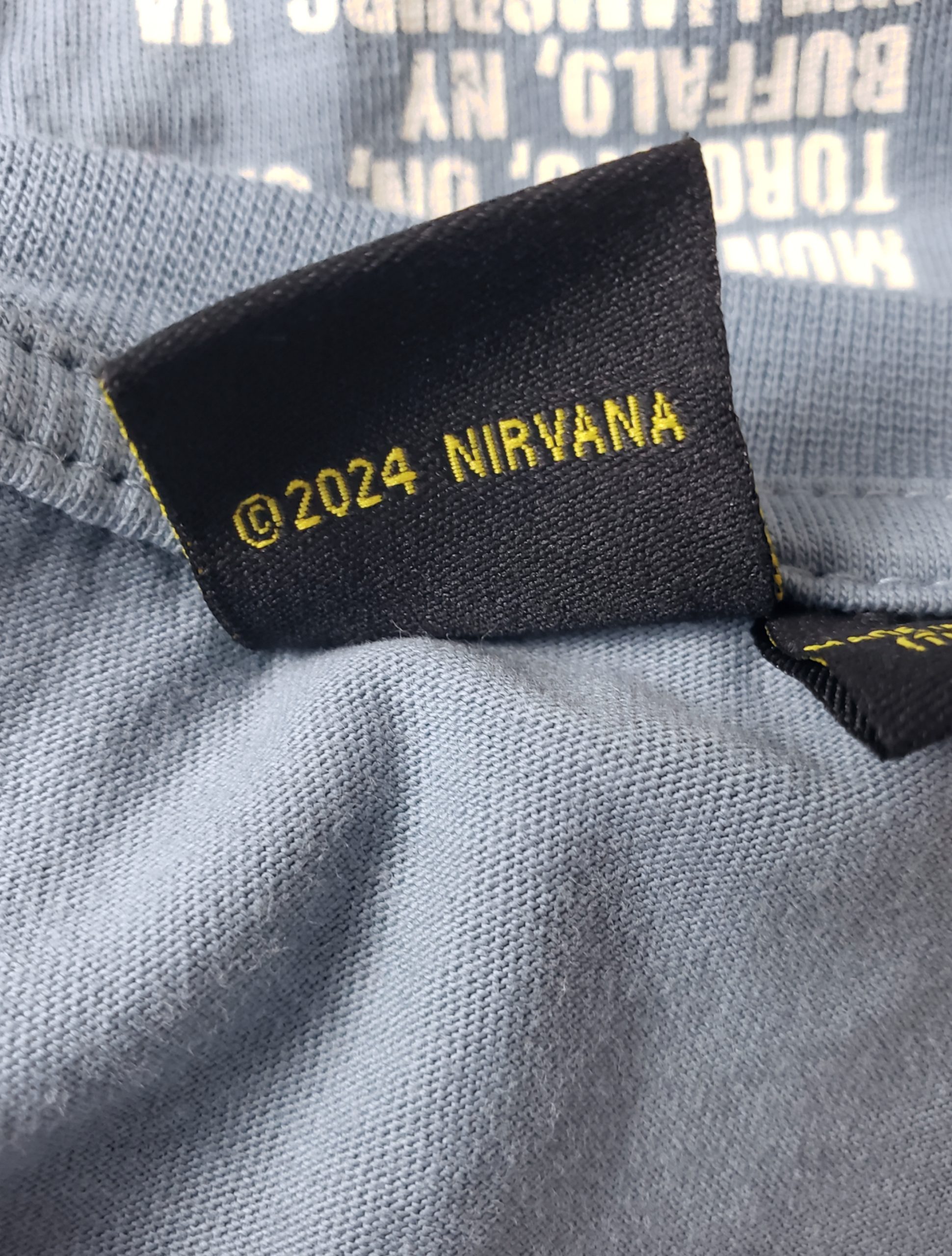 Стильна блакитна футболка Nirvana Live '93 - модний вінтажний принт у ідеальному стані 3 Стильна блакитна футболка Nirvana Live '93 - модний вінтажний принт у ідеальному стані - Зображення 3