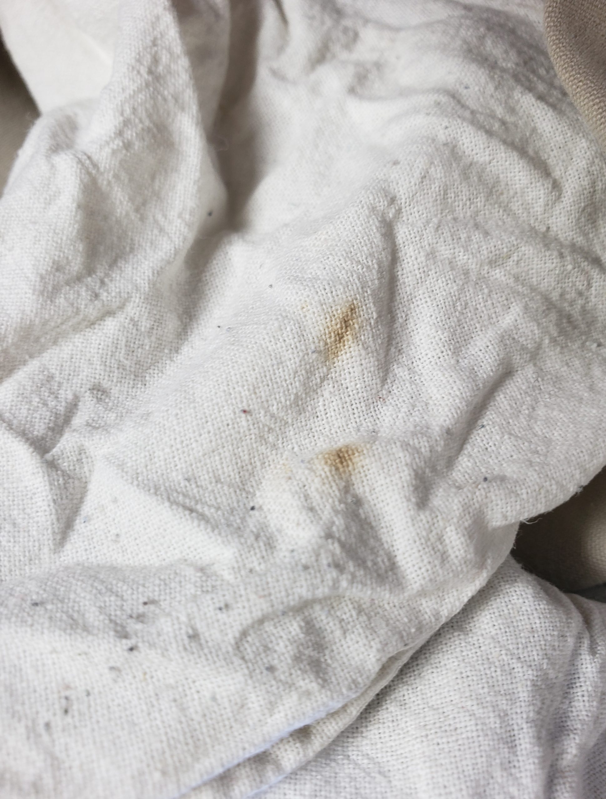 Бежеві чоловічі брюки Peacocks з бавовни - класичні штани casual стиль 9 Бежеві чоловічі брюки Peacocks з бавовни - класичні штани casual стиль - Зображення 9